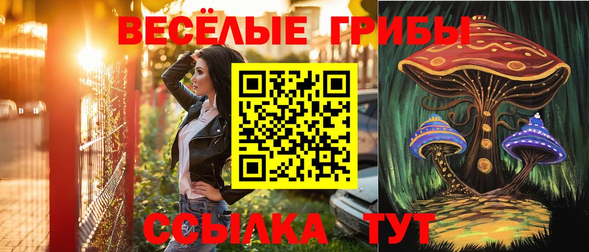 закладки  Галлюциногенные грибы Cubensis  Вход с VPN  Кировск 